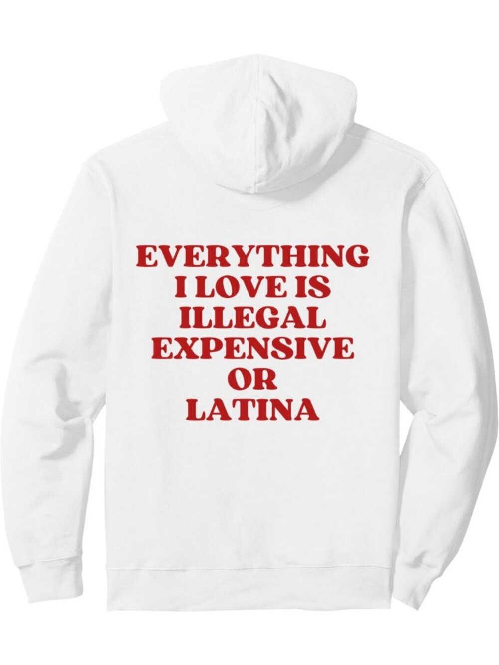 Trendy Latina Graphic Pullover Hoodie - Everything I Love Is Illegal & Expensive